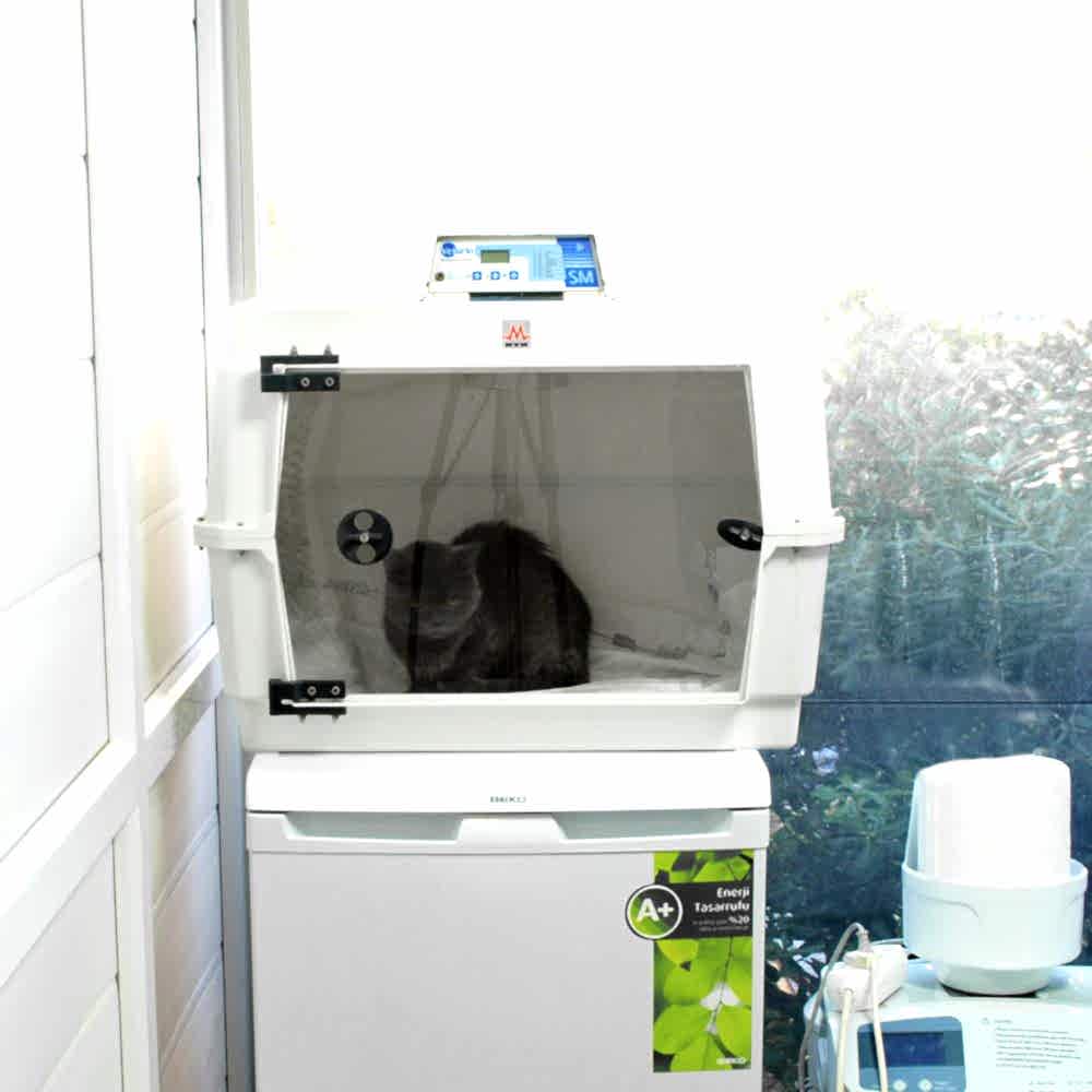 Yoğun Bakım Ünitesi