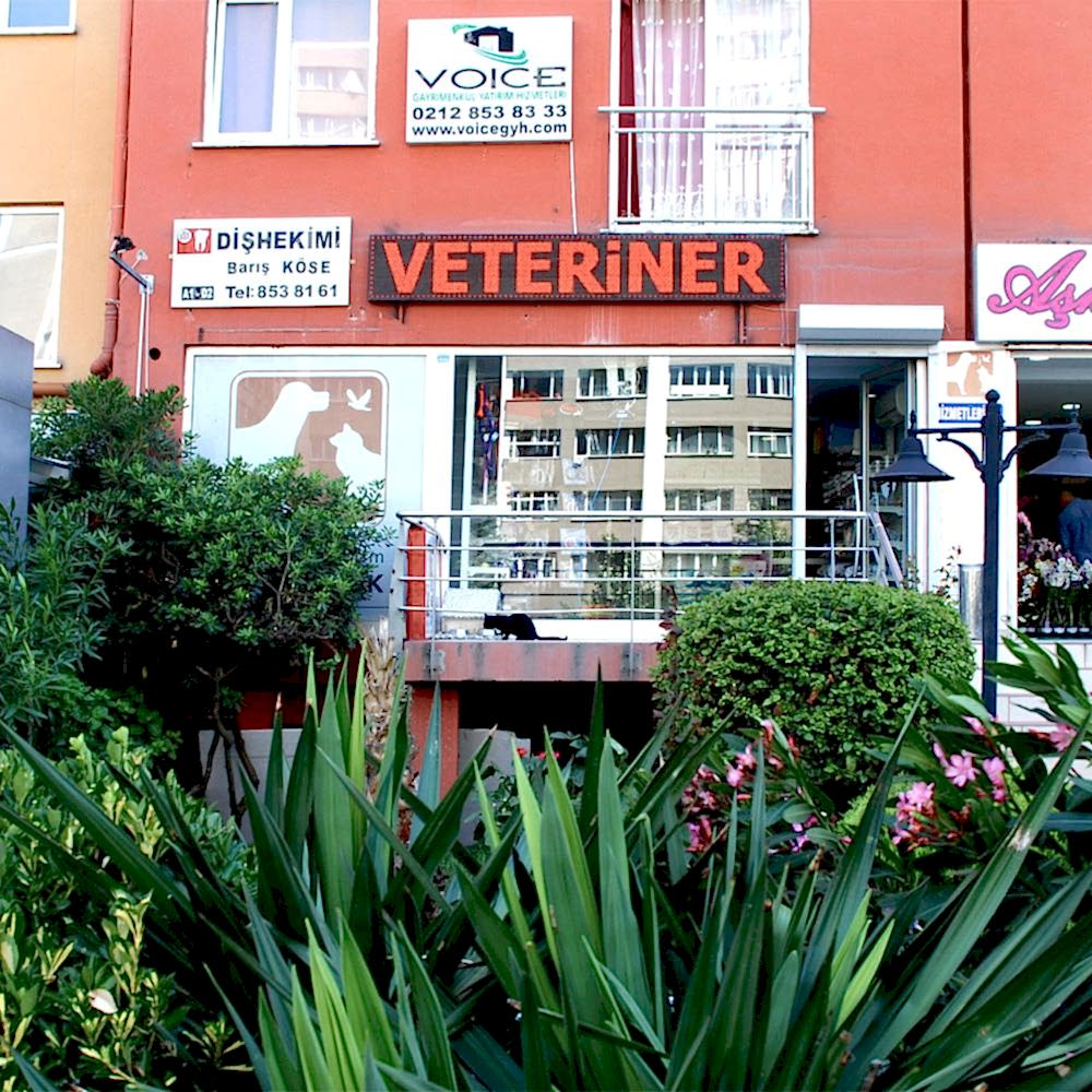 Beylikdüzü Veteriner Kliniği