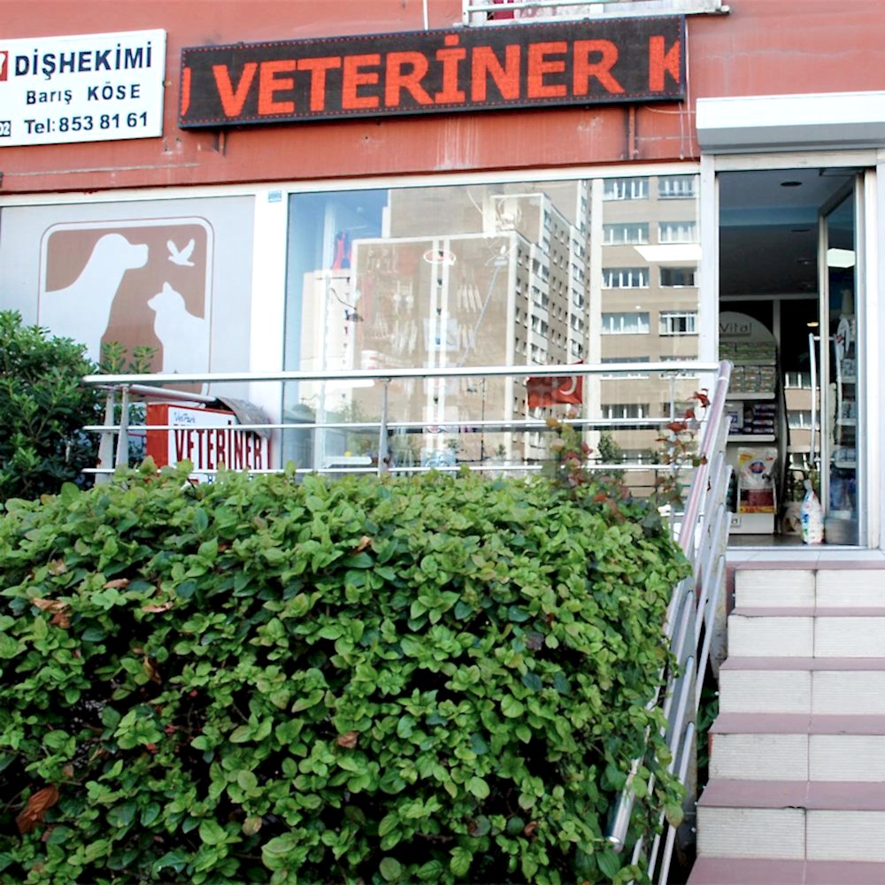 Beylikdüzü Veteriner Kliniği