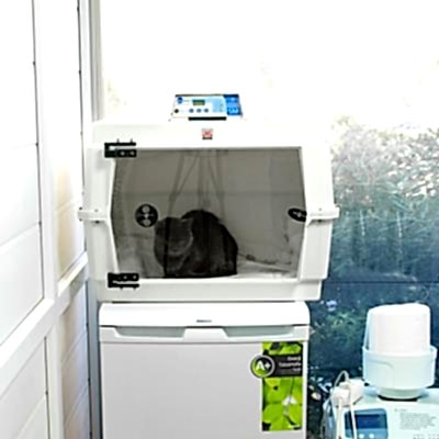 Yoğun Bakım Ünitesi