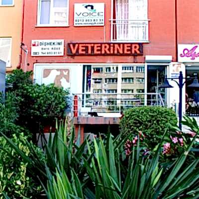 Beylikdüzü Veteriner Kliniği