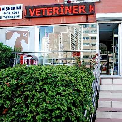 Beylikdüzü Veteriner Kliniği