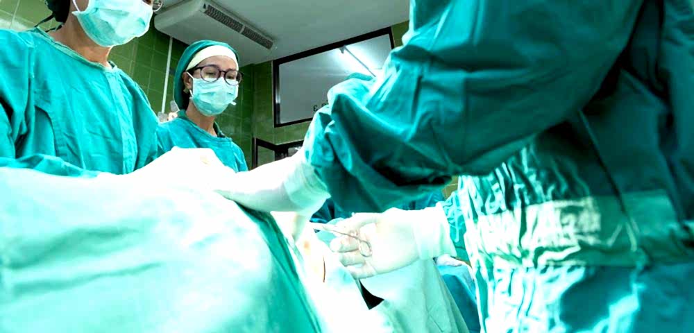 Beylikdüzü Veteriner Kliniği