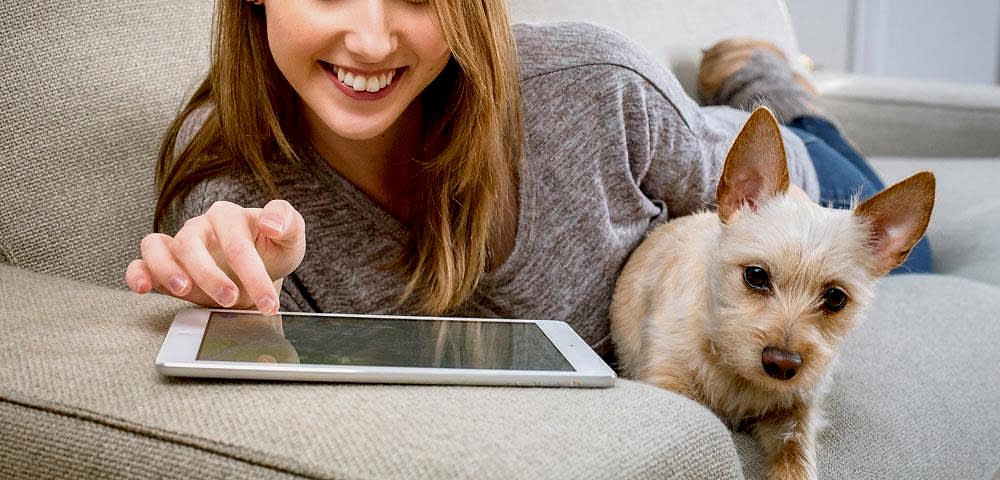 Beylikdüzü Veteriner Kliniği