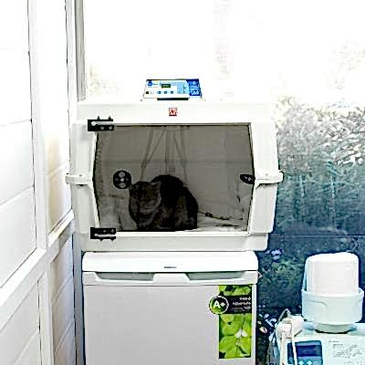 Yatar Hasta ve Pansiyon Hizmetleri